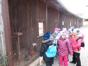 Vánoční výlet - Ekocentrum Mladá Boleslav